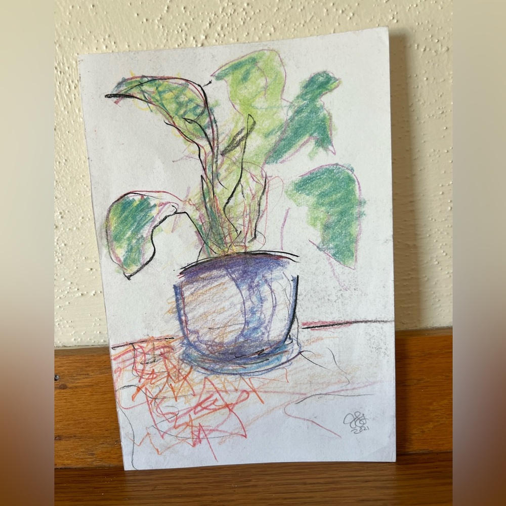 Chalk Plant Drawing by Jen Sinkler